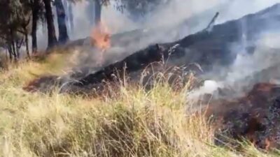 Gunung Lawu di Wilayah Karanganyar Terbakar, 910 Hektare Lahan Hangus