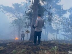Kebakaran Hutan Gunung Merbabu di Semarang Padam, Petugas Tetap Disiagakan