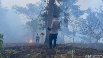 Api Berhasil Padam, Petugas Tetap Siaga di Hutan Gunung Merbabu Semarang