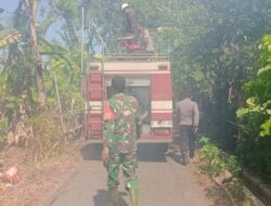 Kebakaran Terjadi di Lahan Eks TPK milik KPH Pati di Tayu Kulon, Pati