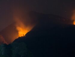 Lereng Gunung Ungaran Semarang Kebakaran, Tampak Asap Putih Membubung Tinggi!