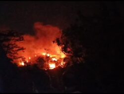 Lahan Seluas 3 Hektar Milik PTPN Jolong Terbakar, Polsek Gembong Bersama Warga Berhasil Padamkan Api