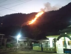 Panas Banter! Kebakaran di Kabupaten Semarang Capai 183 Kasus Selama September