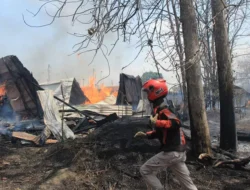 Satu Hektare Gudang Kayu Jati di Sumberjo Rembang Terbakar Dilalap Si Jago Merah, Ini Penyebabnya