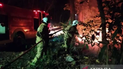 Tercatat 116 Kasus Kebakaran Lahan Terjadi di Kabupaten Semarang Sepanjang 2023