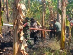 Selidiki Kebakaran Lahan Bekas TPK di Tayu Pati, Polisi: Diduga karena Puntung Rokok ODGJ