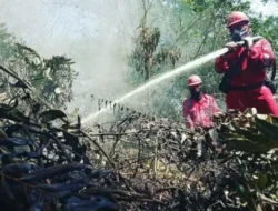Tim Manggala Agni dan Polda Sumsel Berhasil Padamkan Api di HPT Usai Turun Hujan