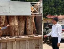 Ungkap Kasus Illegal Loging, Polres Batang Amankan Truk Berisi 65 Kayu Jati