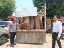 Polres Batang Kejar Pelaku Utama Pelaku Illegal Loging