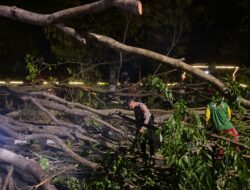 Bersama SAR dan Warga, Polres Sukoharjo Evakuasi Pohon Tumbang Yang Menutup Ruas Jalan
