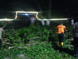 Evakuasi Pohon Tumbang Akibat Angin Kencang, Polres Sukoharjo Dibantu Warga