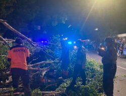 Pohon Tumbang Menutup Jalan, Polres Sukoharjo Bersama SAR dan Warga Lakukan Evakuasi