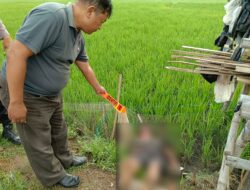 Penemuan Menggemparkan: Pria 64 Tahun Tewas Kesetrum di Desa Bumirejo