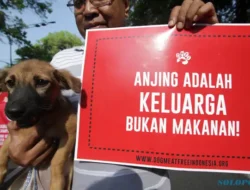 Kesulitan Polda Jateng Bongkar Truk Pembawa Anjing ke Rumah Jagal Sragen