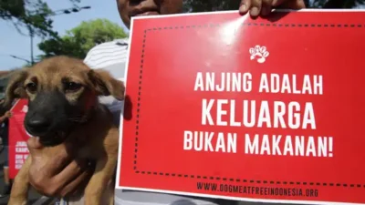 Kesulitan Polda Jateng Bongkar Truk Pembawa Anjing ke Rumah Jagal Sragen