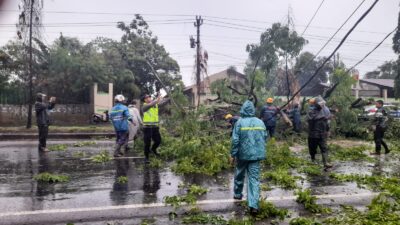 Singkirkan Pohon Tumbang, Petugas Gabungan di Batang Bergerak Cepat