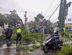 Bersama BPBD, Polsek Batang Kota Evakuasi Pohon Tumbang Akibat Hujan Lebat