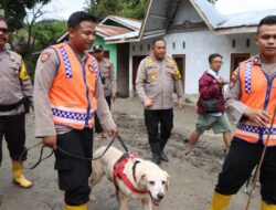 Bantu Pencarian Korban Longsor di Humbahas, Polda Sumut Turunkan Anjing Pelacak