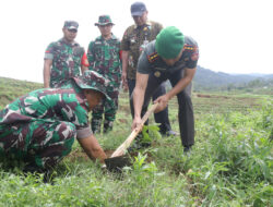Taman Pohon dan Bersikan Pasar, Kodim 0704 Banjarnegara Antisipasi Perubahan Iklim