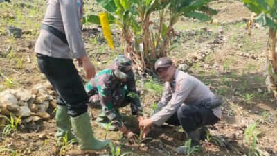 Kapolsek Tambakromo: Karya Bakti Penanaman Pohon, Langkah Konkret Pelestarian Lingkungan