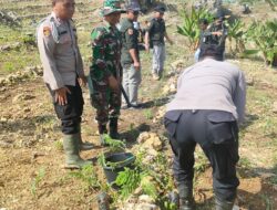 Upaya TNI-Polri dan Forkopimcam: Penanaman 1500 Bibit Pohon di Petak 86 b RPH Gayam