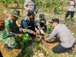 Kegiatan “Save Earth For Earth”: Penanaman 1500 Bibit Pohon di Kecamatan Tambakromo