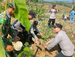 Save Earth For Earth, TNI Polri Tanam Ribuan Pohon Buah di Tambakromo Pati