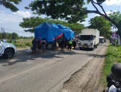 Kecelakaan Maut di Juwana: Truk Hino Tabrak Truk Tronton, Beruntung Sopir Selamat
