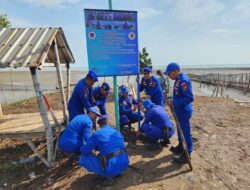 Satpolairud Polresta Pati Laksanakan Perawatan dan Pelestarian Mangrove dan Cemara di Pantai Bulumanis