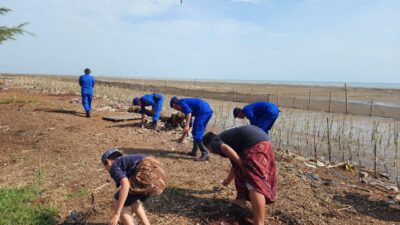 Pantai Bersih dan Hijau: Satpolairud Polresta Pati Jaga Kelestarian Tanaman Mangrove dan Cemara Laut