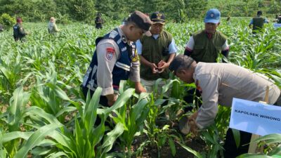 Penghijauan dan Lingkungan Sehat: Kepala Desa Godo Subur Makmur Terlibat Aktif