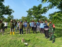 Penghijauan dan Produktivitas: Kelompok Tani Hutan Godo Subur Makmur Tanam 1000 Pohon