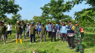 Penghijauan dan Produktivitas: Kelompok Tani Hutan Godo Subur Makmur Tanam 1000 Pohon