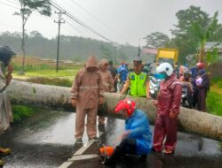 Halangi Jalan, Polsek Bandar Bantu Warga Bersihkan Pohon Tumbang