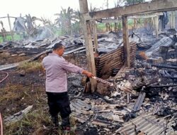 Kandang Ayam di Desa Pasuruhan Terbakar, Polsek Kayen Lakukan TPTKP