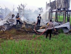 Kebakaran Hebat di Desa Pasuruhan, Kandang Ayam Suwarni Habis Dilalap Api
