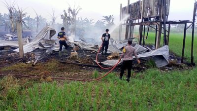 Kebakaran Hebat di Desa Pasuruhan, Kandang Ayam Suwarni Habis Dilalap Api