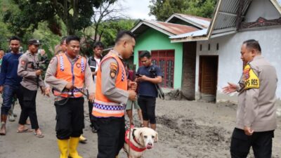 Polda Sumut Kerahkan Anjing Pelacak Cari 11 Korban Banjir Bandang Humbahas