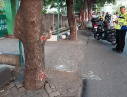 Tragis! Tabrak Pohon, Pengendara Sepeda Motor di Semarang Tewas