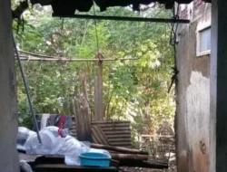 Kagat Bukan Main, Orang Tua di Semarang Syok Saksikan Anak Gadisnya Tergantung di Teras Rumah