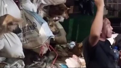Gandeng MUI dan Kemenkes, Polda Jateng Bakal Tertibkan Warung Penjual Daging Anjing di Solo
