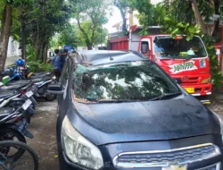Pohon Tumbang Menimpa Mobil Ringsek Sisi SMK Grafika Semarang Yudistira Semarang