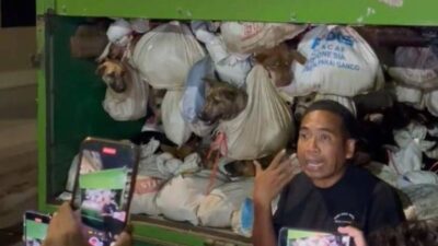 226 Ekor Anjing yang Bakal Dijagal Diamankan Polrestabes Semarang, Pecinta Hewan Bang Semes Beri Apresiasi