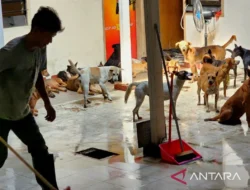 Perawatan Lanjutan Ratusan Anjing, Polrestabes Semarang Gandeng Pemangku Kepentingan
