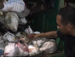 Polisi Gagalkan Penyelundupan Ratusan Anjing di Tol Kalikangkung