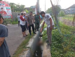 Warga Growong Kidul Ditemukan Tewas di Selokan, Polsek Juwana Lakukan Olah TKP