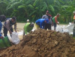 Antisipasi Banjir, Bhabinkamtibmas Desa Angkatan Lor Bersama Warga Kerja Bakti Pembuatan Tanggul Sungai