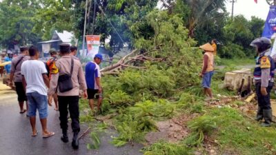 Respon Cepat Polresta Pati, Evakuasi Pohon Tumbang Melintang di Jalan Sukolilo – Prawoto