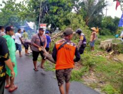 Respon Cepat Polresta Pati, Evakuasi Pohon Tumbang Melintang di Jalan