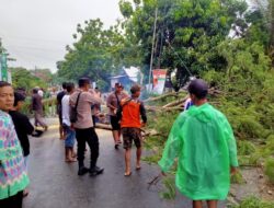 Kapolsek Sukolilo: Masyarakat Berperan Aktif dalam Penanganan Pohon Tumbang